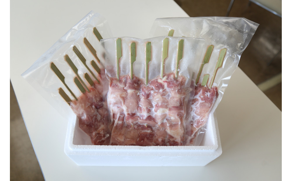遠州地鶏一黒シャモ使用！こだわりの焼き鳥串10本×3袋セット総量　約900g　地鶏 軍鶏 しゃも 冷凍 送料無料 もも むね 生肉 美味しい ヘルシー お取り寄せ 贅沢 記念日 お中元 お歳暮 自宅用 家庭用 国産