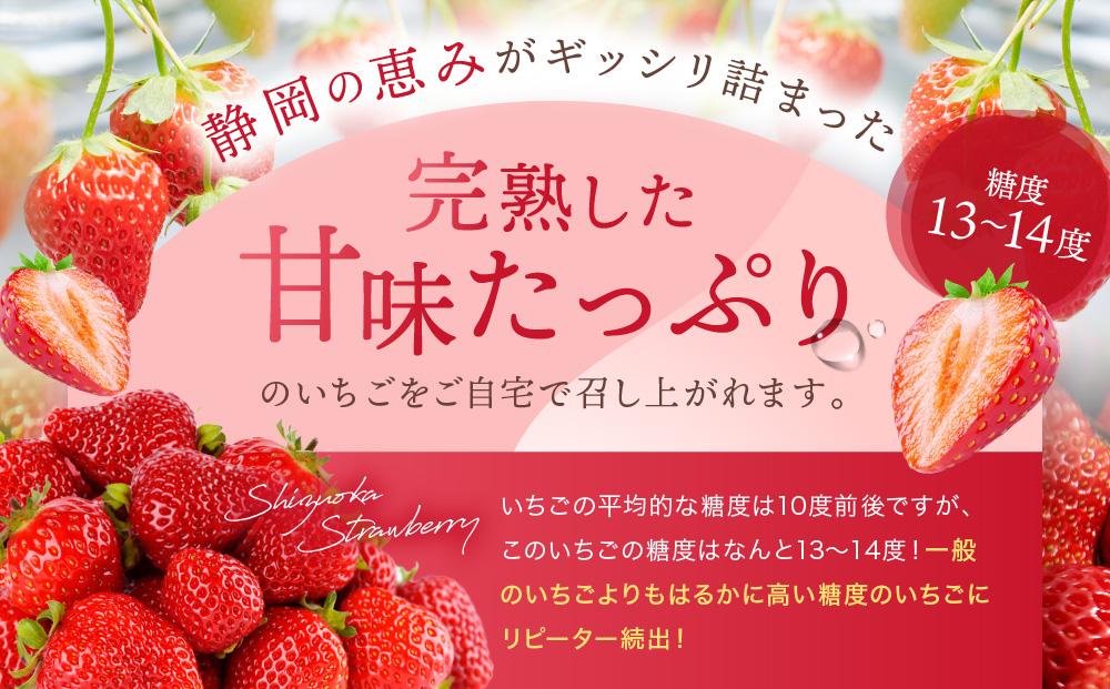 【2026年度 先行予約】 農家直送！静岡いちご　DX　糖度13～14度　1100g 程度（270～280g×4パック）甘くて地元大人気！やみつきリピーター多数　御前崎産　数量限定