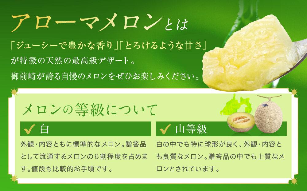 御前崎市産アローマメロン（白）1玉入り