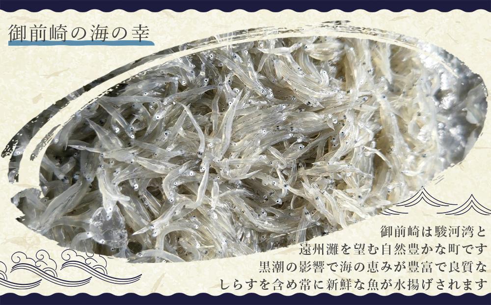 産地直送　しらす6種詰め合わせ　計600g　特製まざりちりめん　釜揚げしらす　天日干ししらす AR005