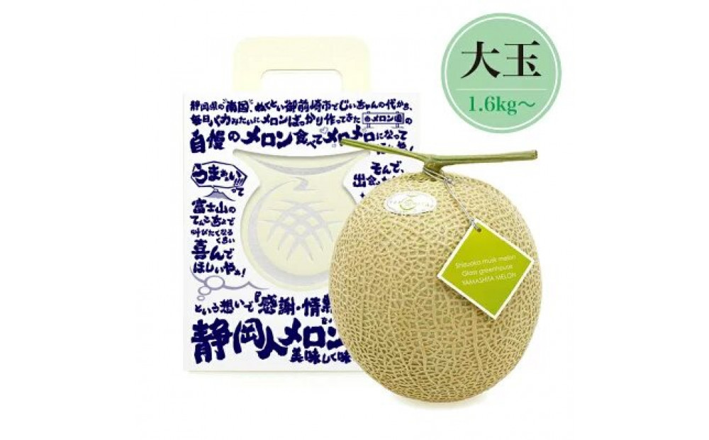 【限定企画商品】静岡人 × 山下メロンの最高級のマスクメロン 1玉 Ｌ玉1.6kg～1.7kg  静岡温室メロン「バカうまいメロン」「自慢のメロンを届けたい！！」　高級果実店に仕入れるほどの自信のあるメロン  ギフト  メロン めろん 箱詰め フルーツ 果物  産地直送 甘いメロン 糖度   青肉
