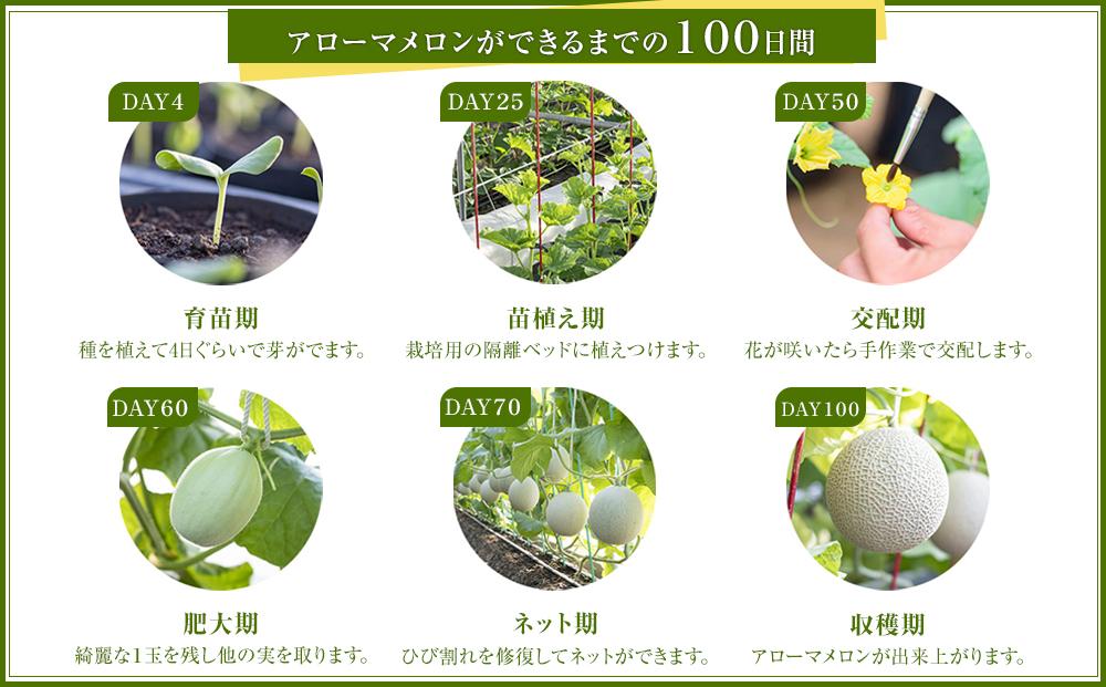 等級「山」アローマメロン　計8.4kg以上（1.4kg以上 6個入れ)　静岡が世界に誇る最高級メロン　大玉