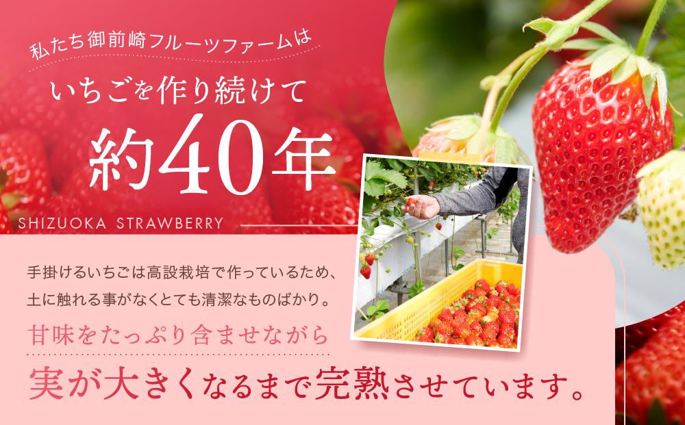 【2026年度 先行予約】 農家直送！静岡いちご　DX　糖度13～14度　1100g 程度（270～280g×4パック）甘くて地元大人気！やみつきリピーター多数　御前崎産　数量限定