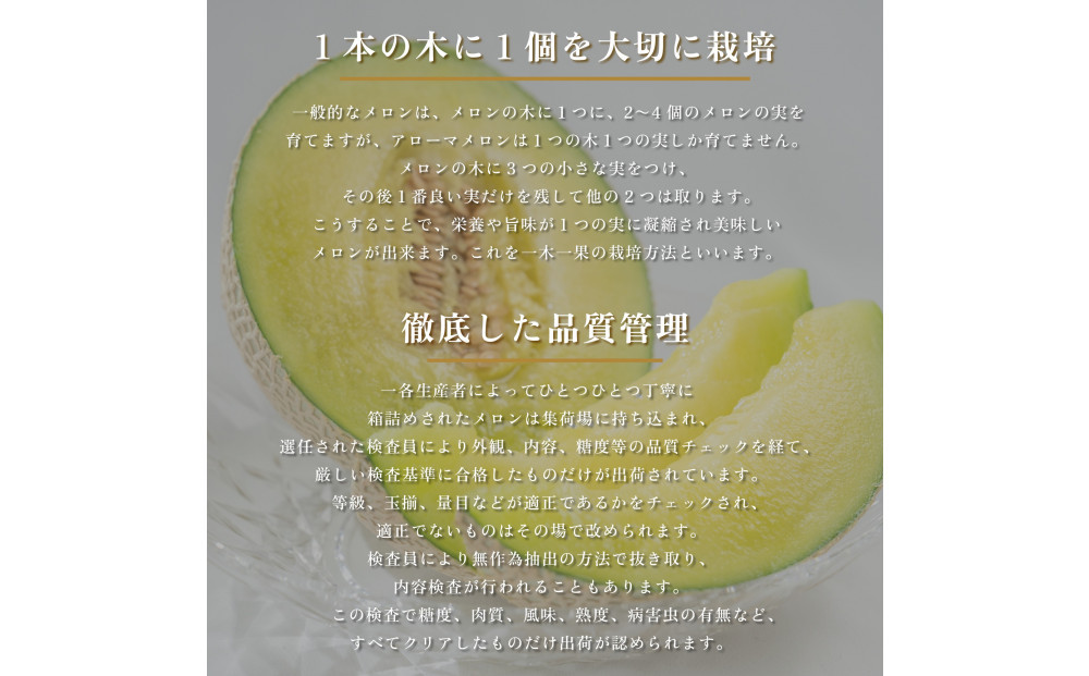 【定期便6ヶ月】『組合直送』アローマメロン1.3kg