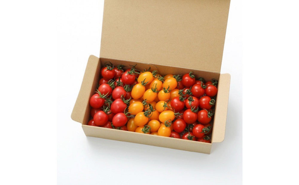 【先行受付 2025年12月発送】トマトが苦手な子でも食べれちゃう！高糖度 完熟フルーツトマトとミニトマトの食べくらべセット　1.2kg こだわりの減農薬  糖度8～13度 リピーター多数 大容量 コスパ 新鮮  人にも地球にも優しいトマト