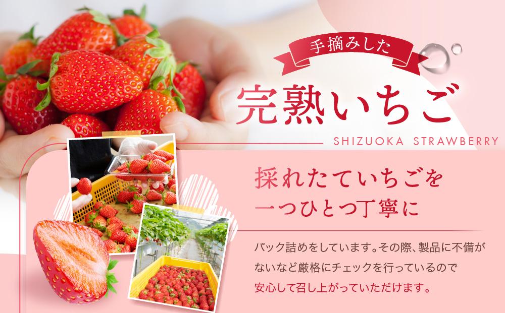 【2026年度 先行予約】 農家直送！静岡いちご　DX　糖度13～14度　1100g 程度（270～280g×4パック）甘くて地元大人気！やみつきリピーター多数　御前崎産　数量限定