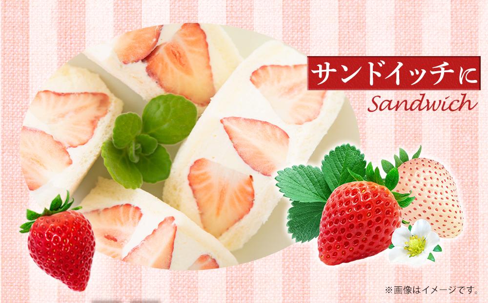 【2024年2月中旬～2024年4月中旬発送予定】「かおりの」大粒　満足セット 1kg