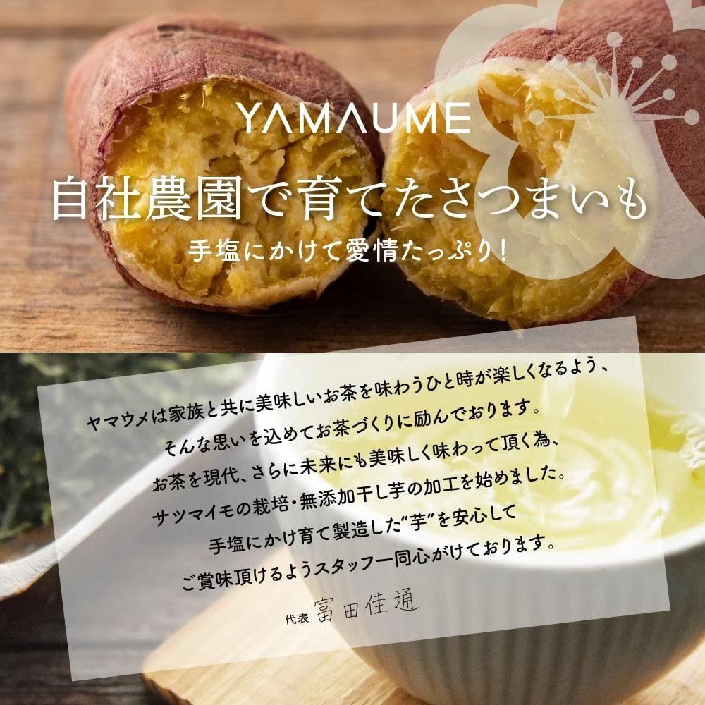 お芋のバスクチーズケーキ　5号（約540g）