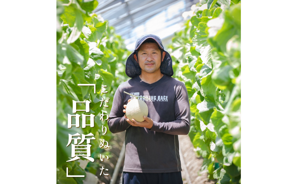 『組合直送』アローマメロン1.3kg 2玉