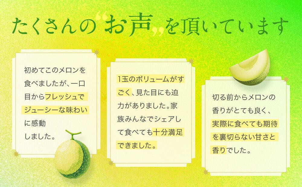 御前崎市産アローマメロン（山等級）1玉入り｜マスクメロン フルーツ 果物 くだもの デザート ギフト 贈答 プレゼント 箱入 静岡
