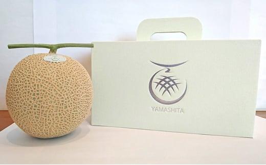 静岡温室メロン  M玉約1.4kg×2玉 最高級のマスクメロン 山下メロン園 高級果実店に仕入るほどの自信のあるメロン ギフト メロン めろん 箱詰め フルーツ 果物  産地直送 甘いメロン 糖度  青肉 高級 百貨店