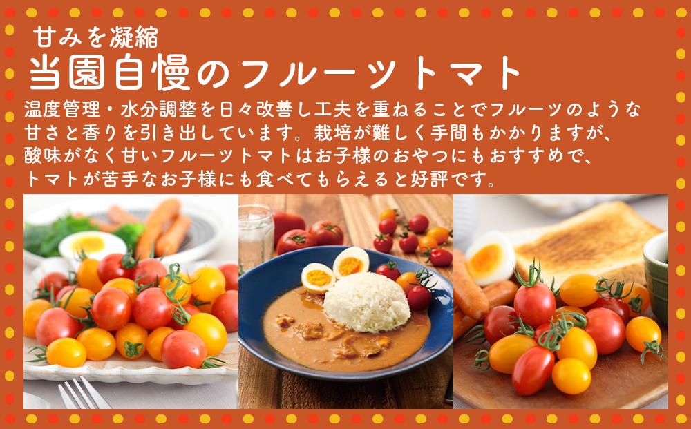 高糖度の完熟トマトを使用 510トマトビーフカレー（外箱無し・パウチ包装タイプ）4パック  訳あり 人にも環境にも優しい エコ こだわり レトルト カレー  シチュー おいしい 人気 リピート多数 非常食 保存食 長期保存 防災食 備蓄食 災害用品 災害用保存食 防災グッズ 防災用品