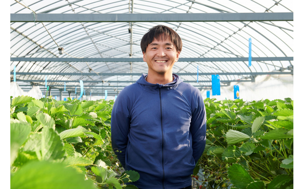 先行受付【静岡県産いちご】完熟紅ほっぺ・きらぴ香2パックセット（300g×2パック）【2026年1月下旬以降発送予定】