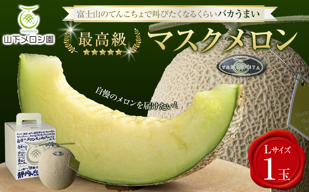 【限定企画商品】静岡人 × 山下メロンの最高級のマスクメロン 1玉 Ｌ玉1.6kg～1.7kg  静岡温室メロン「バカうまいメロン」「自慢のメロンを届けたい！！」　高級果実店に仕入れるほどの自信のあるメロン  ギフト  メロン めろん 箱詰め フルーツ 果物  産地直送 甘いメロン 糖度   青肉