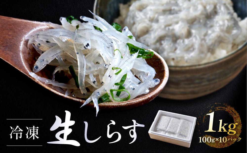 【今だけ増量中！】冷凍生しらす1kg（100g×10）静岡県御前崎産  生しらす丼 10杯分 小分け 個包装 便利 大容量 徳用 海鮮丼  使いやすい食べきりサイズ どんぶり 刺身 おつまみ おかず 惣菜 晩ごはん
