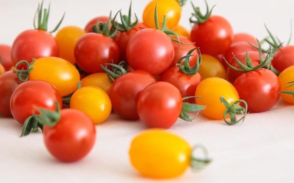 【先行受付 2025年12月発送】トマトが苦手な子でも食べれちゃう！高糖度 完熟フルーツトマトとミニトマトの食べくらべセット　1.2kg こだわりの減農薬  糖度8～13度 リピーター多数 大容量 コスパ 新鮮  人にも地球にも優しいトマト