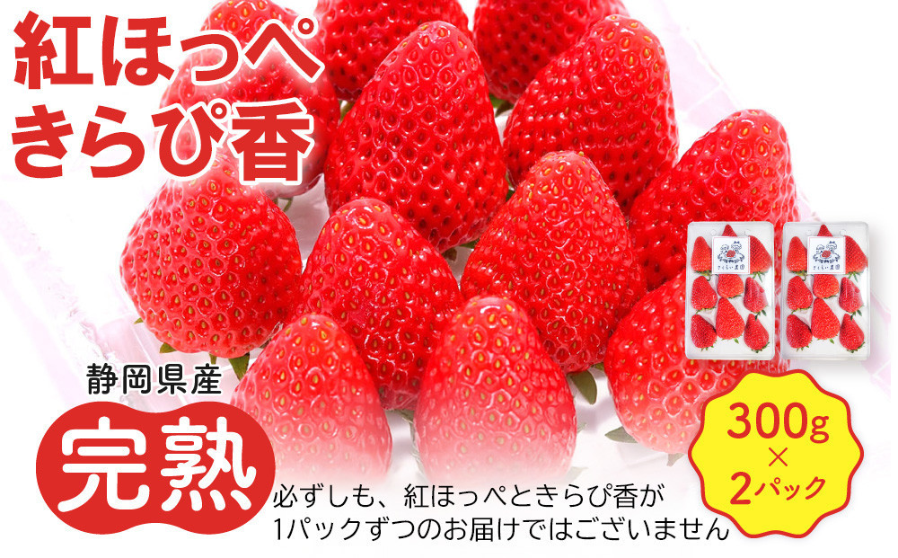 先行受付【静岡県産いちご】完熟紅ほっぺ・きらぴ香2パックセット（300g×2パック）【2026年1月下旬以降発送予定】