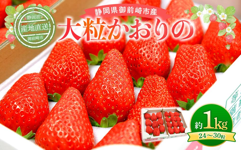 【2024年2月中旬～2024年4月中旬発送予定】「かおりの」大粒　満足セット 1kg