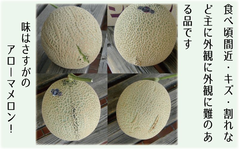 【訳あり品】静岡県産 アローマメロン 2玉 約1.0kg以上×2玉 計約2.0kg以上 ｜化粧箱入 訳アリ 果物 フルーツ メロン めろん 青肉 高級 高級ブランドメロン ブランドメロン 高級メロン