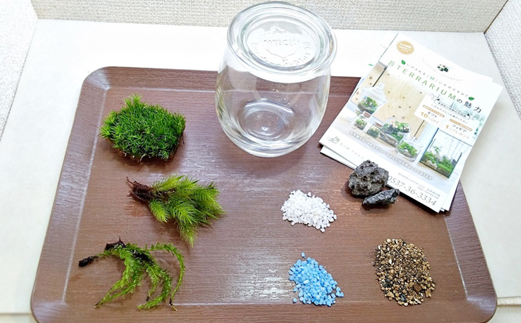 【手づくりキット】 グラスビン 苔テラリウム 【インテリア】 説明書 付き 植物 テラリウム 苔テラリウム 苔 こけ コケ 手作り ハンドメイド セット