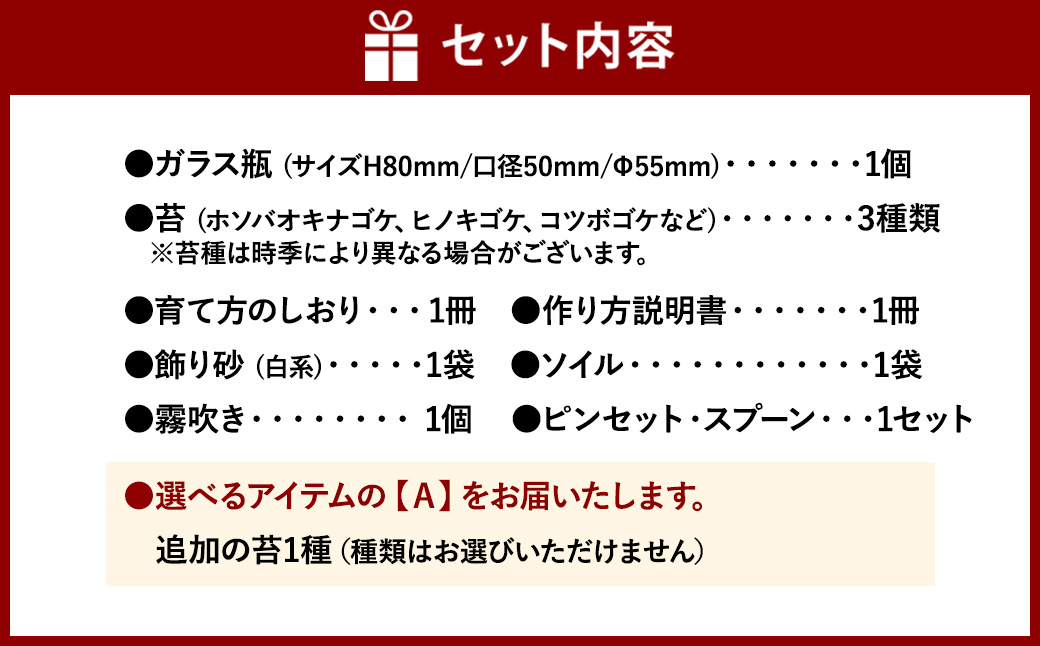 【A：追加の苔1種】 おうちで作ろう♪ 苔テラリウム 手づくりキット 小瓶 選べるアイテム 【おうち時間】【インテリア】 育て方のしおり 付き 植物 テラリウム 苔テラリウム 苔 こけ コケ 手作り ハンドメイド セット