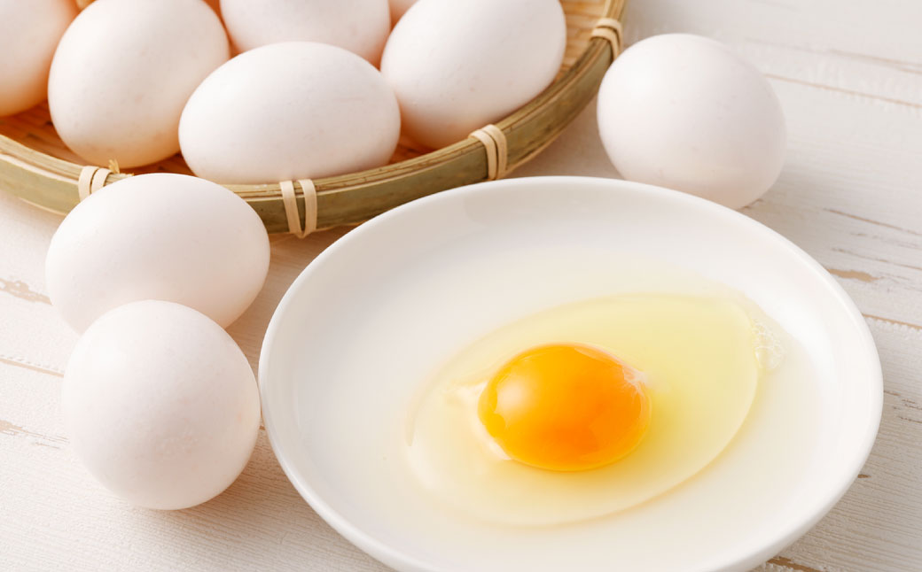 【 3ヶ月 定期便 】「 ホソヤさんちのいきいき卵 」40個割れ補償 5個含む （合計 120個） セット 静岡産まれ 菊川の耀たまご  化粧箱入 たまご 卵 玉子 生卵 静岡 国産