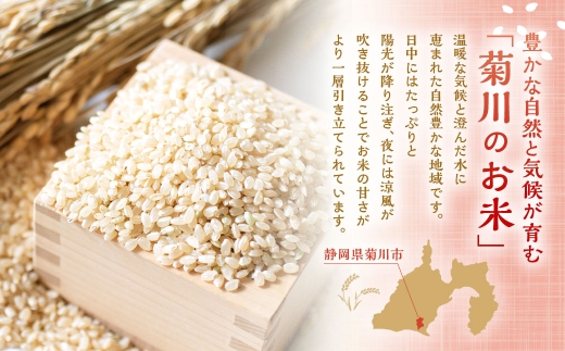 【10営業日発送】【令和7年産】静岡県産コシヒカリ 玄米 5kg （5kg×1袋） 【2026年8月下旬迄順次発送予定】 コシヒカリ こしひかり 米 コメ こめ ご飯 ごはん 菊川市 静岡県