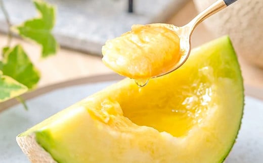 アローマメロン 白等級 2玉