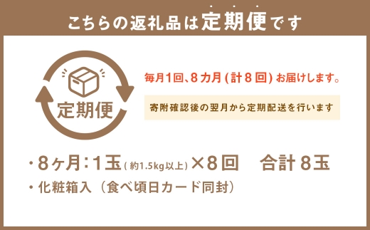【8ヶ月定期便】アローマメロン