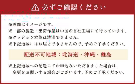 整体院の先生がおすすめする お尻フィット クッション