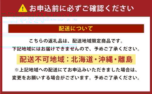 自家製スコーン詰め合わせ 100g×6個入り
