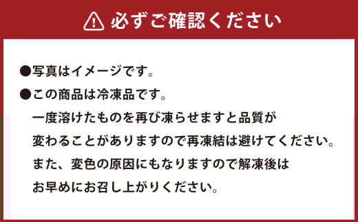 【6ヶ月定期便】 夢咲牛 メンチカツ 10個 ｜ 遠州夢咲牛 惣菜 おかず 冷凍