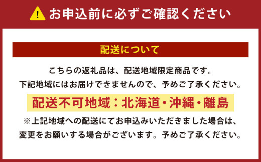 日本製 ボリューム布団 6点 防ダニ 布団 カバー セット