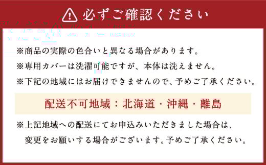 整体院の先生がおすすめする 枕 低反発チップ