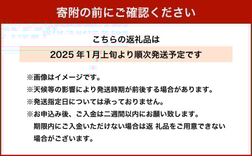 芽キャベツ 1kg ｜ 芽キャベツ メキャベツ キャベツ きゃべつ 野菜