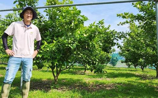 国産レモン 2kg【2026年12月上旬-2027年1月下旬まで順次発送予定】 ｜ フルーツ 果物 レモン 柑橘 れもん 檸檬 国産 静岡県 菊川市