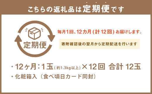 【12ヶ月定期便】アローマメロン