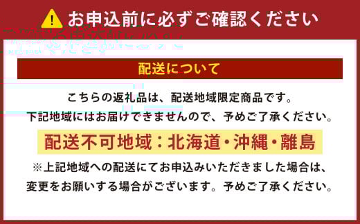 日本製 ボリューム布団 4点 防ダニ 布団 カバー セット