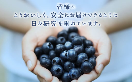 生ブルーベリー 計約400g