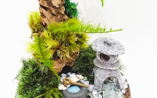 【さとリウム（R）】プリザーブド加工のテラリウム 苔
