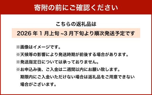 紅ほっぺ DX 約260g×4パック 計1,040g 【2026年1月上旬-3月下旬まで順次発送予定】｜ いちご 苺 果物 くだもの フルーツ 紅ほっぺ