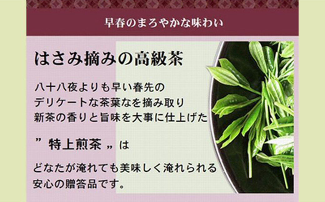 【吟雅缶】 学生さん達と考えた深蒸し茶ギフトセット！ 絵柄が選べる 100g缶 （100g×2缶 計200g）！ 自分への大感謝祭セット 茶 茶缶 緑茶 深蒸し茶 静岡緑茶 日本茶 セット ギフト 贈答