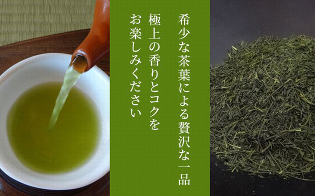 【綾菱缶】学生さん達と考えた深蒸し茶ギフトセット！ 絵柄が選べる200g缶 （200g×2缶 計400g）！ センスが光るオシャレな茶缶セット！ 茶 茶缶 緑茶 深蒸し茶 静岡緑茶 日本茶 贈答