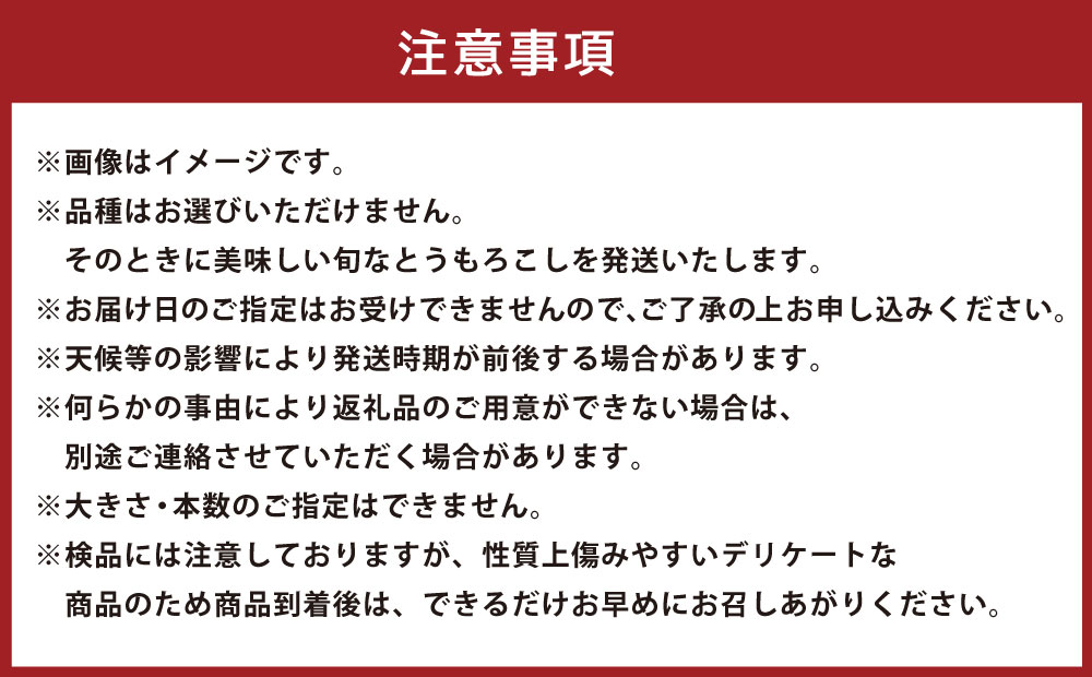 朝どれ とうもろこし 10本～12本 【2024年6月上旬～6月下旬発送予定】 野菜 トウモロコシ もろこし スイートコーン 甘々娘 甘太郎 ドルチェドリーム 旬 旬の野菜 旬の食材 朝採り 朝採れ 新鮮 おやつ おつまみ 静岡