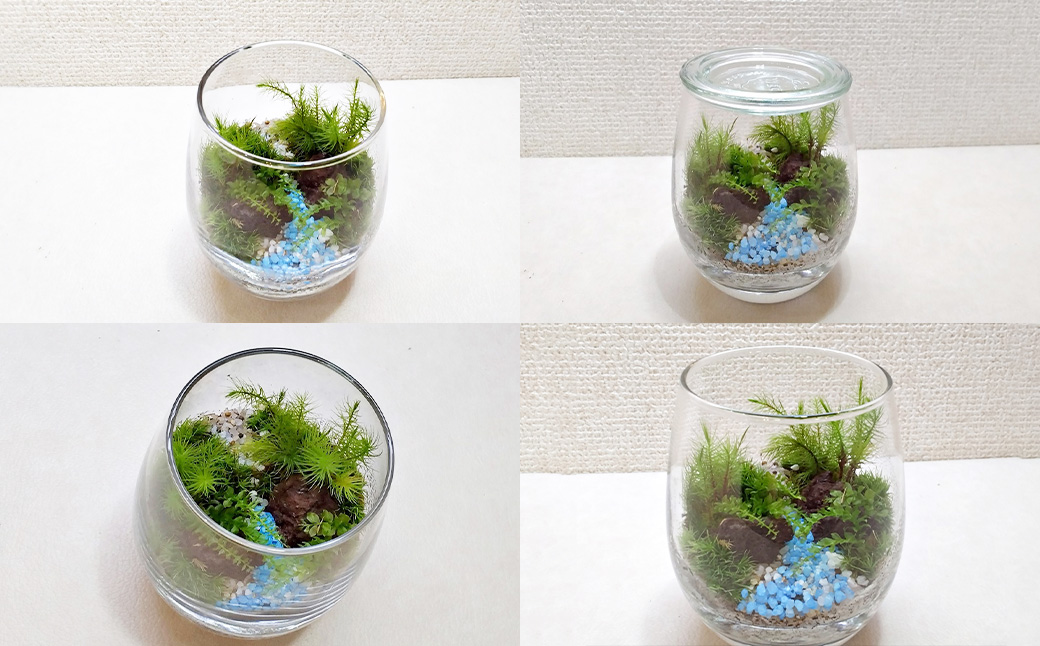 【手づくりキット】 グラスビン 苔テラリウム 【インテリア】 説明書 付き 植物 テラリウム 苔テラリウム 苔 こけ コケ 手作り ハンドメイド セット