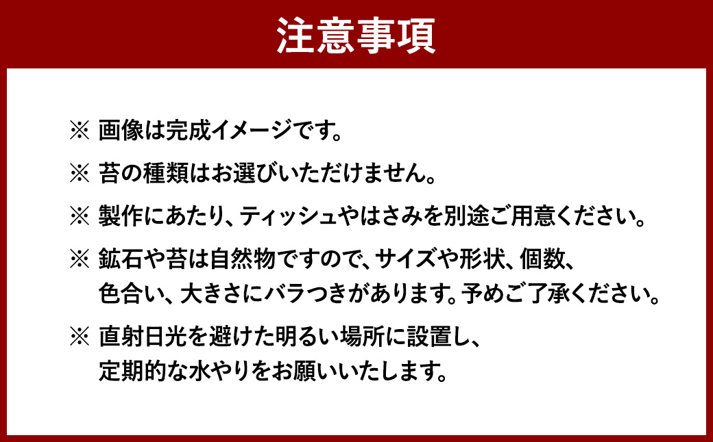 【A：追加の苔1種】 おうちで作ろう♪ 苔テラリウム 手づくりキット 小瓶 選べるアイテム 【おうち時間】【インテリア】 育て方のしおり 付き 植物 テラリウム 苔テラリウム 苔 こけ コケ 手作り ハンドメイド セット