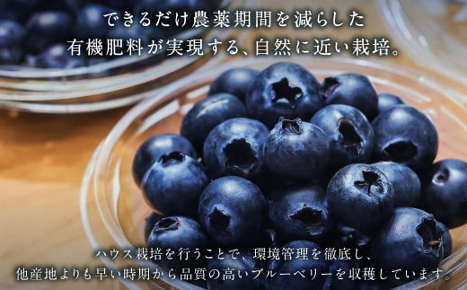 生ブルーベリー 計約900g