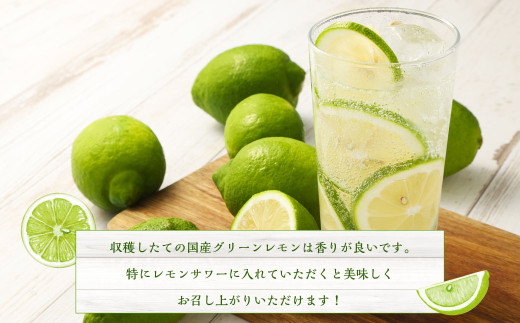 国産グリーンレモン 3kg【2026年10月上旬-11月下旬まで順次発送予定】｜ フルーツ 果物 柑橘 グリーンレモン レモン れもん 檸檬 国産 静岡県 菊川市