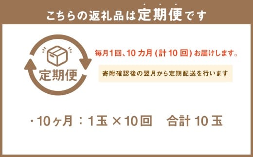 【10ヶ月定期便】訳あり静岡県産アローマメロン 1玉（1玉 約1.0kg以上）