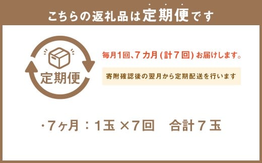 【7ヶ月定期便】訳あり静岡県産アローマメロン 1玉（1玉 約1.0kg以上）